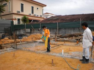 kl pest control termite control solution 4