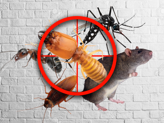 General Pest Control
